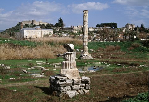 01 (16)